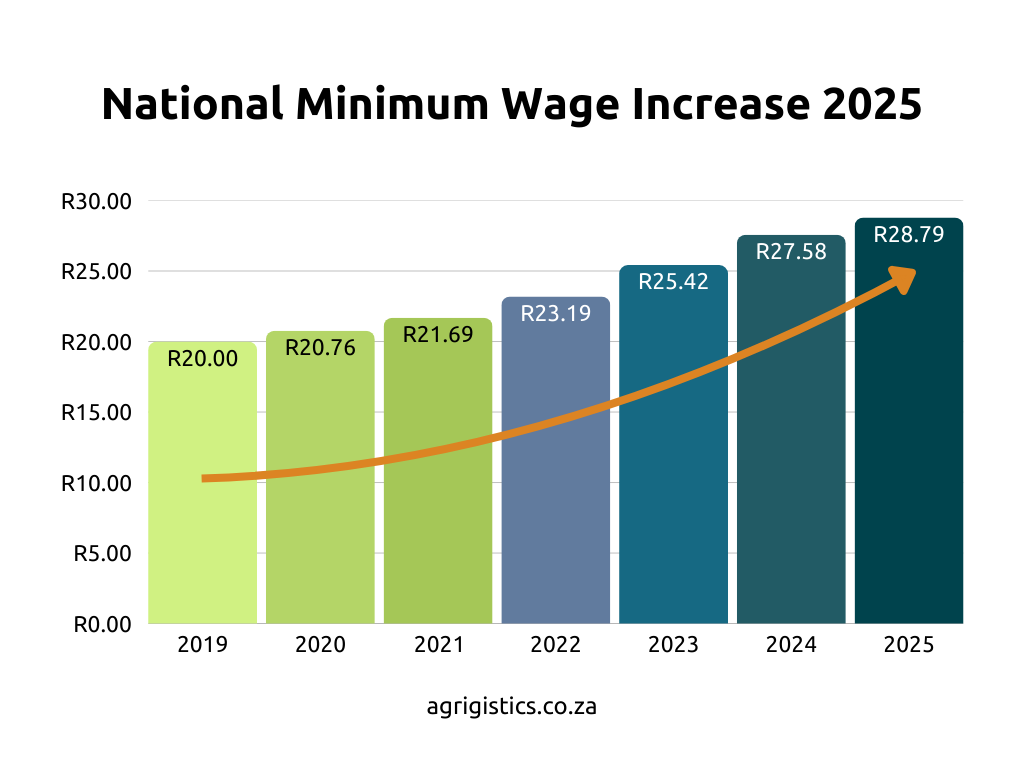 Bar chart showing South African national minimum wage increases from 2019 to 2025, rising to R28.79 in 2025.