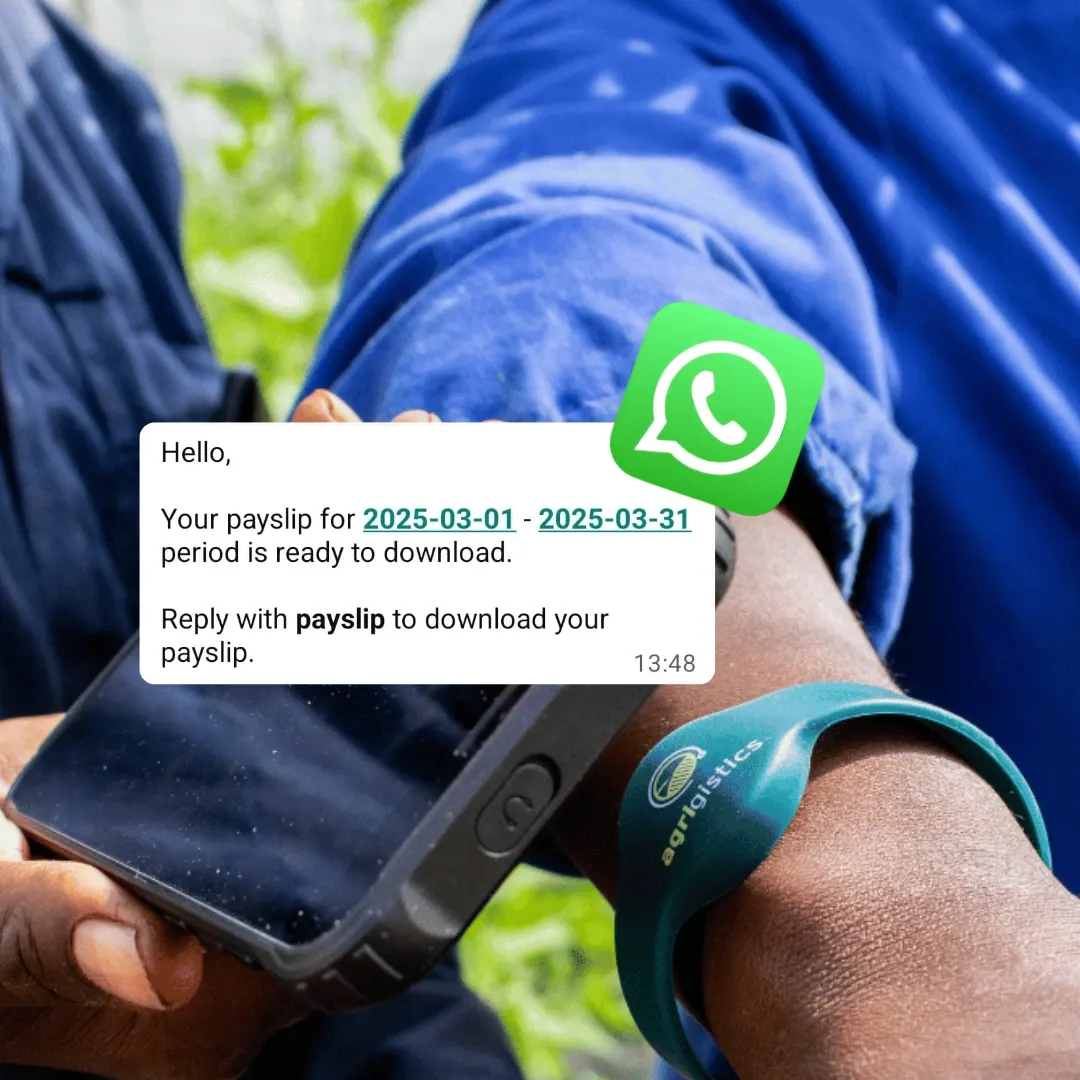 Field worker holding a rugged device with a WhatsApp message saying a payslip is ready to download